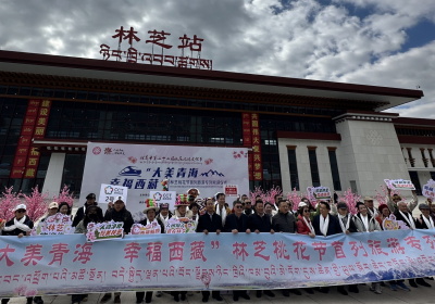 2025年西藏康輝接待“大美青海 幸福西藏” 林芝桃花節(jié)首列旅游專列抵達林芝