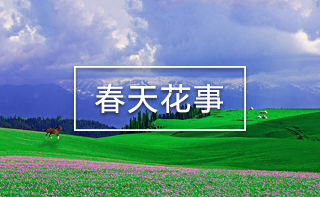 西藏旅游網(wǎng)